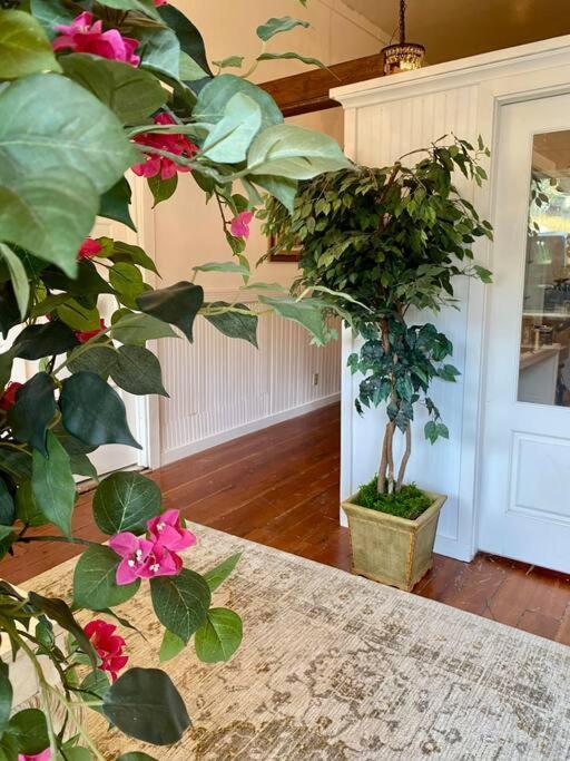 The Shopkeeper'S Cottage ~ Chic! Amador City Exterior foto